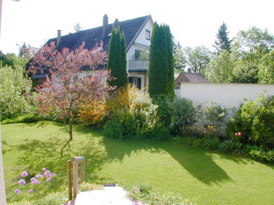 Blick von der Terrasse