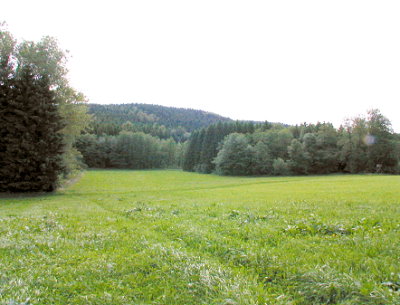 am Bach gelegen