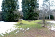ruhige Wohnlage
