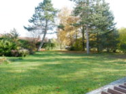 eingewachsener Garten